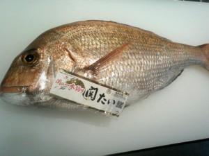 SA3D0185_2.jpg