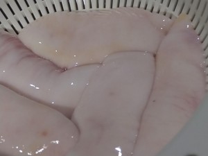 DSC_1970.JPG