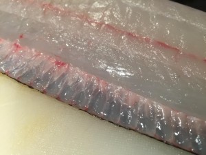 IMG_1467.JPG