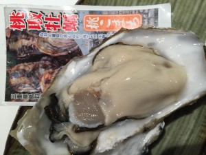 IMG_1798.JPG
