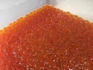 IMG_3029.JPG