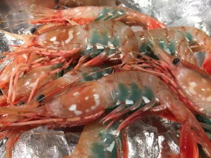 IMG_3040.JPG