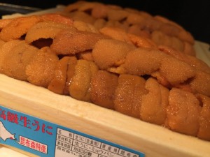 IMG_3502.JPG