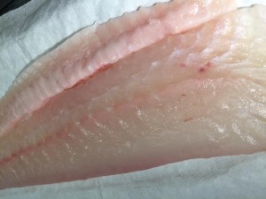 IMG_3770.JPG