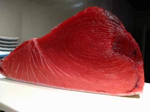 DSC_0112.JPG