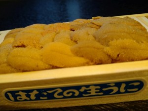 DSC_0238.JPG