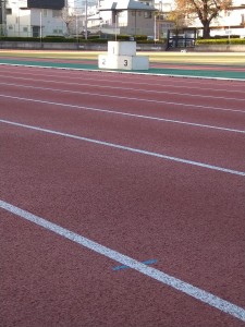 DSC_1223.JPG