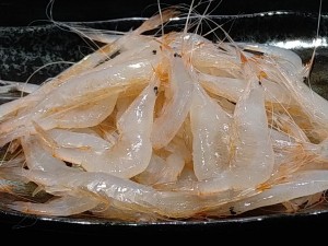 DSC_1925.JPG